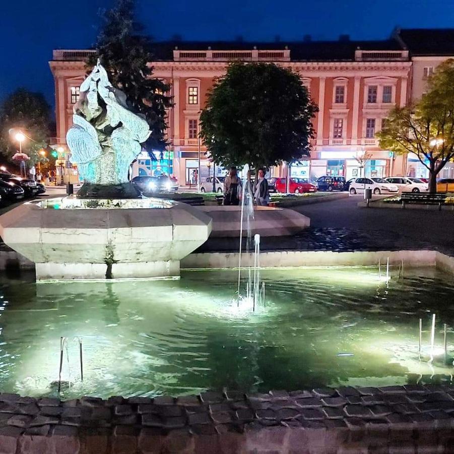 Hulk Apartamento Vrsac Exterior foto