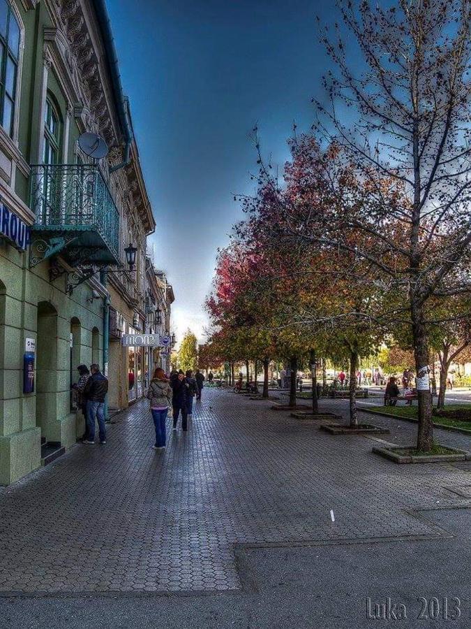Hulk Apartamento Vrsac Exterior foto
